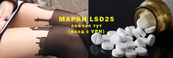 индика Зерноград
