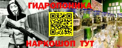 крисы Волжск