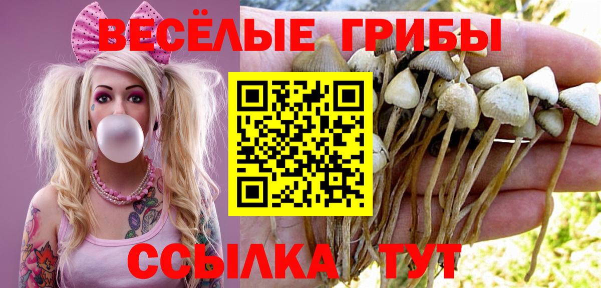 Псилоцибиновые грибы Magic Shrooms Ульяновск
