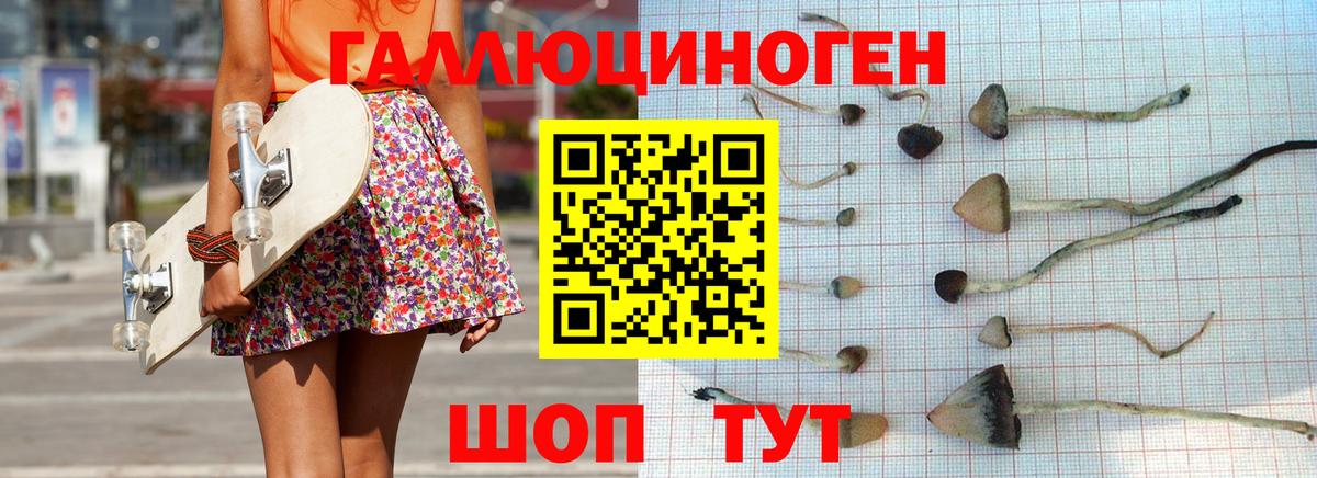 Псилоцибиновые грибы GOLDEN TEACHER  Вход с VPN  Ульяновск 